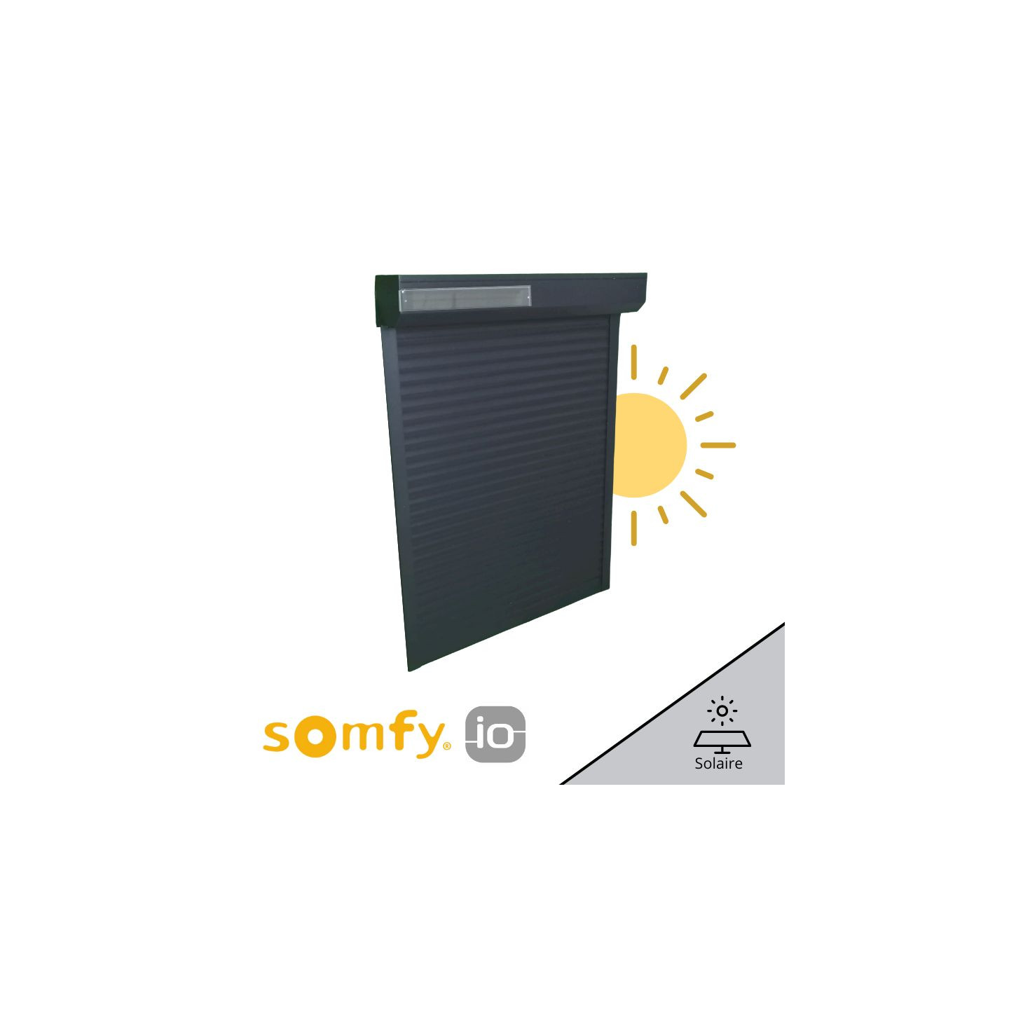 Kit motorisation solaire Somfy Oximo Solar iO
