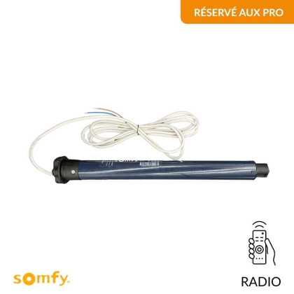 Moteur radio Somfy RS100 iO 10N