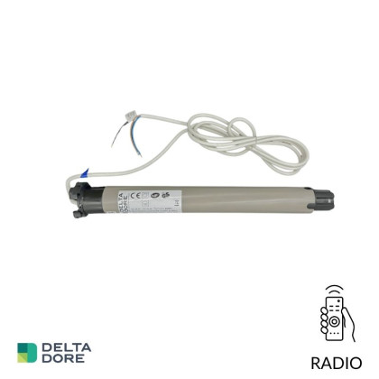 Moteur radio Delta Dore TYMOOV 10RP2