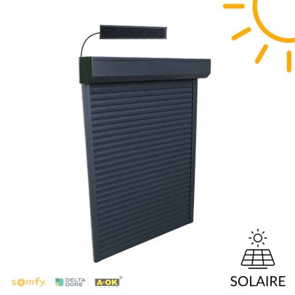 volet solaire panneau déporté