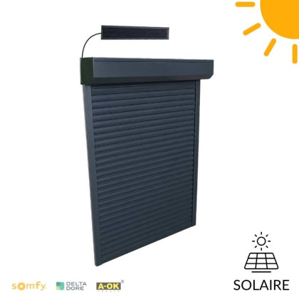 volet solaire panneau déporté